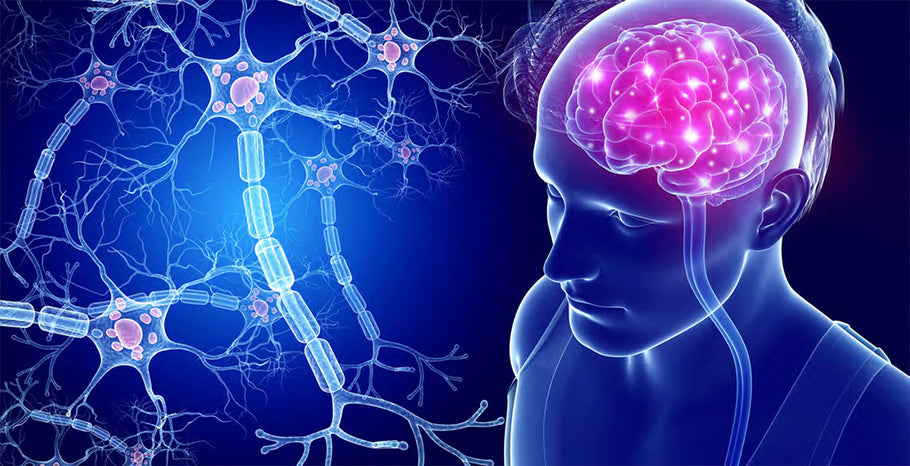 Can Finasteride/Propecia Cause Neurological Disorders?