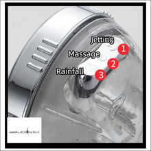 Load image into Gallery viewer, HAIRLICIOUSLY Ionic Mineral 3 Setting Shower Head Set - HAIRLICIOUSLY